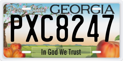 GA license plate PXC8247
