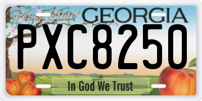 GA license plate PXC8250