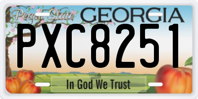 GA license plate PXC8251