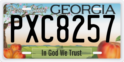 GA license plate PXC8257