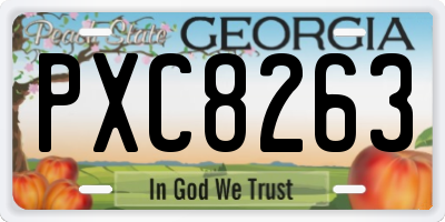 GA license plate PXC8263
