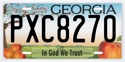 GA license plate PXC8270