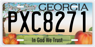 GA license plate PXC8271