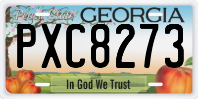 GA license plate PXC8273