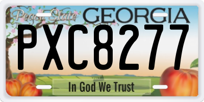 GA license plate PXC8277