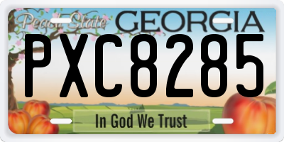 GA license plate PXC8285