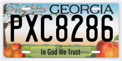 GA license plate PXC8286