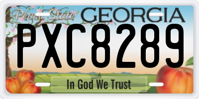 GA license plate PXC8289