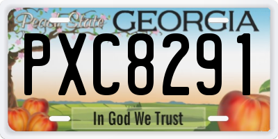GA license plate PXC8291