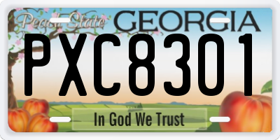 GA license plate PXC8301