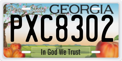 GA license plate PXC8302