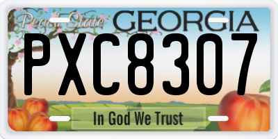 GA license plate PXC8307
