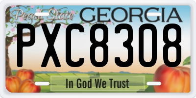 GA license plate PXC8308