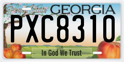 GA license plate PXC8310
