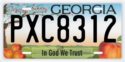 GA license plate PXC8312