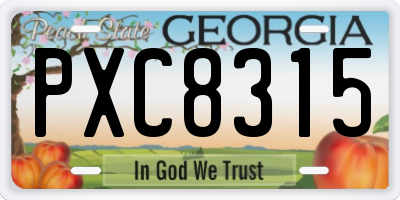 GA license plate PXC8315