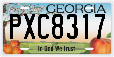 GA license plate PXC8317
