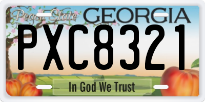 GA license plate PXC8321