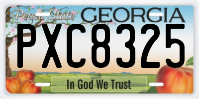 GA license plate PXC8325
