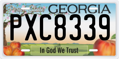 GA license plate PXC8339