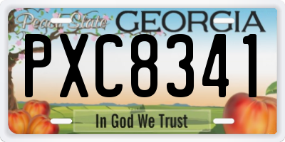 GA license plate PXC8341