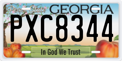 GA license plate PXC8344