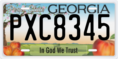 GA license plate PXC8345