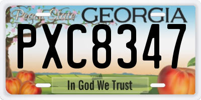 GA license plate PXC8347