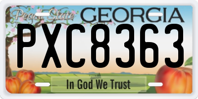 GA license plate PXC8363