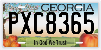 GA license plate PXC8365