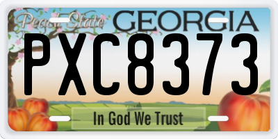 GA license plate PXC8373