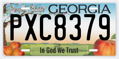 GA license plate PXC8379