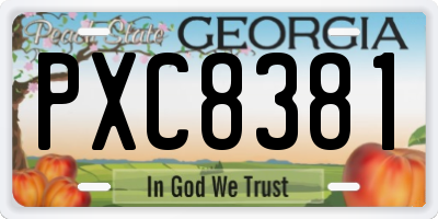 GA license plate PXC8381