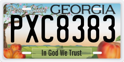 GA license plate PXC8383