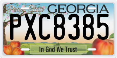 GA license plate PXC8385