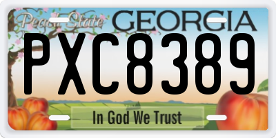 GA license plate PXC8389