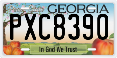GA license plate PXC8390