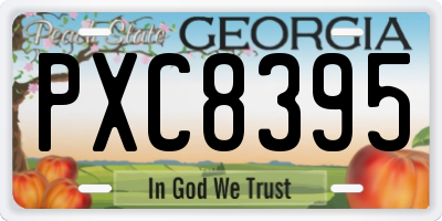 GA license plate PXC8395