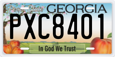 GA license plate PXC8401