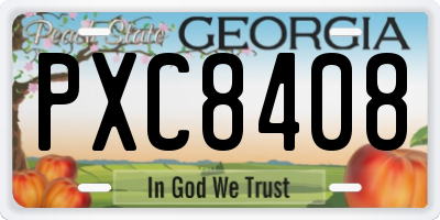 GA license plate PXC8408