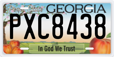 GA license plate PXC8438