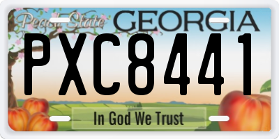 GA license plate PXC8441