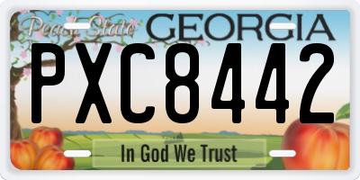 GA license plate PXC8442