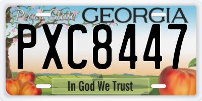 GA license plate PXC8447