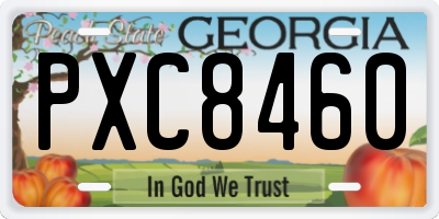 GA license plate PXC8460