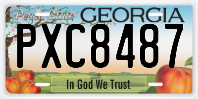 GA license plate PXC8487