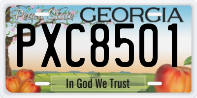 GA license plate PXC8501