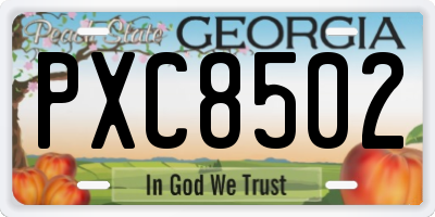 GA license plate PXC8502