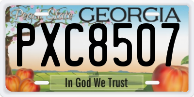 GA license plate PXC8507