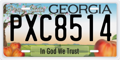 GA license plate PXC8514